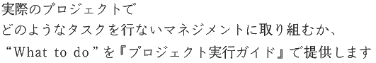 実際のプロジェクトでどのようなタスクを行いマネジメントに取り組むか、”What to do”を『プロジェクト実行ガイド』で提供します